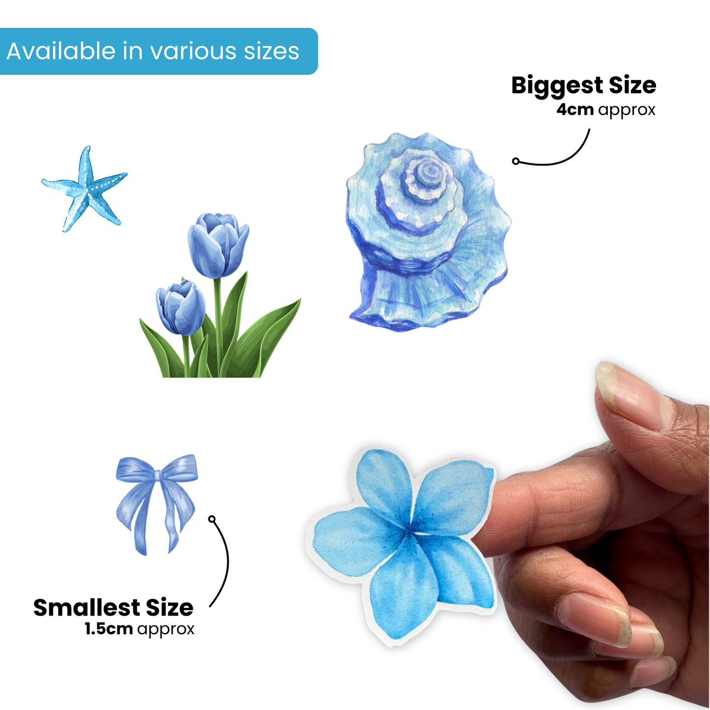 Set of blue floral stickers with sizes indicated, held by a hand.